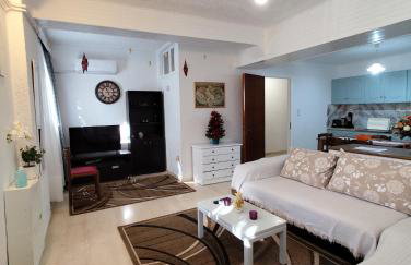 Ευρύχωρο και άνετο διαμέρισμα στην Ιτέα Joanna's Apartment - Foto 4