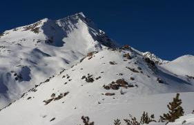 Klaus Prettau - Foto 30