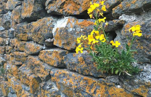 Artist Flat Saint Flour - Foto 51