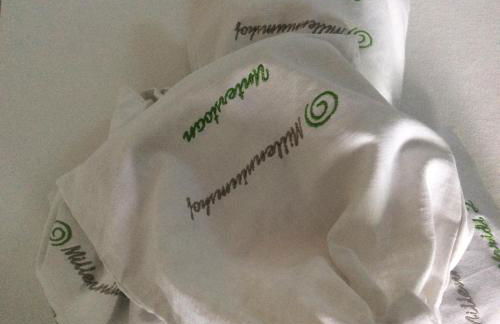 Millenniumshof - Foto 36