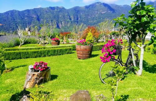 Granny's farm - Foto 35