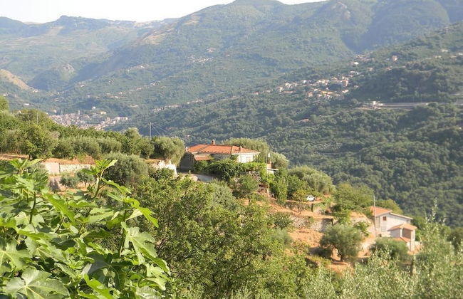 Agriturismo Don Cesarino - Photo 1