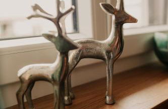 Wohnung Schrödelstein neues Highlight Fliegenfischen auf der Isar - Foto 4