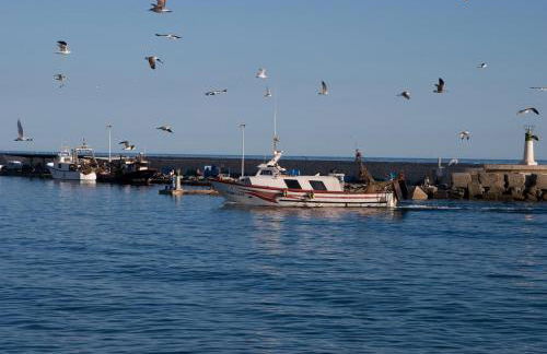 Beach panorama Caleta - Photo 38