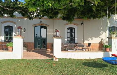 Finca Olivo Llorón - Foto 7