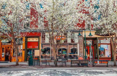 Golden Lofts Unit 4 Downtown Traverse City 2BD 2BA - Foto 31