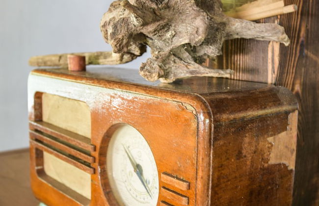 Camp Divlja Rijeka - Foto 18