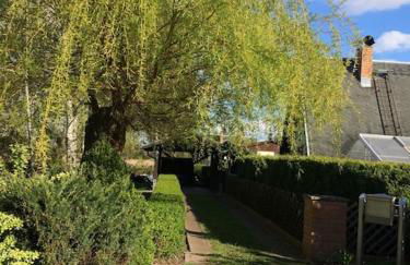 Ferienhaus am Mescheriner See - Photo 24