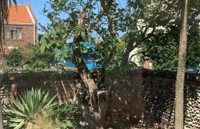 3 Bed in Brancaster Staithe oc-2024 - Foto 14