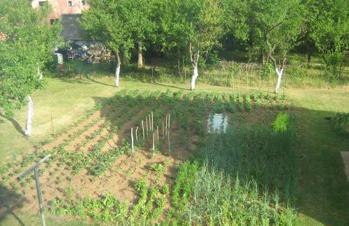 Apartment Jopa - Foto 29