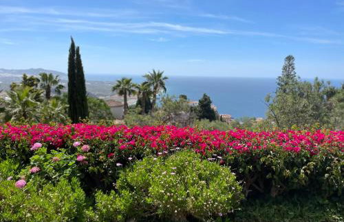 Villa Tropical Dream - Photo 21