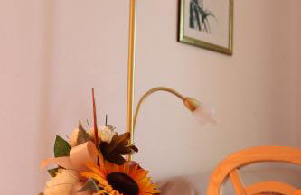 Apartments Glavaš - Foto 25