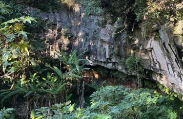 Casa Žerotín - Foto 47