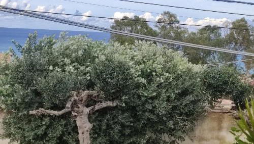 Villa Lucrezia I - Photo 5