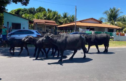 Casa de Praia em Joanes - Salvaterra - Foto 36