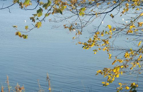 Apartament DELFIN - Photo 59