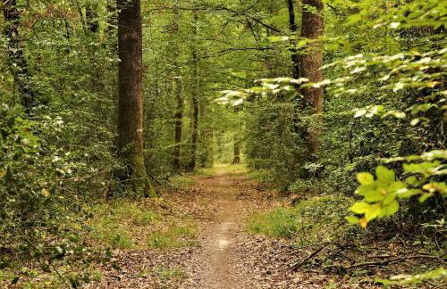 Grand Appart 2 pièces Enghien-les-Bains - Foto 42