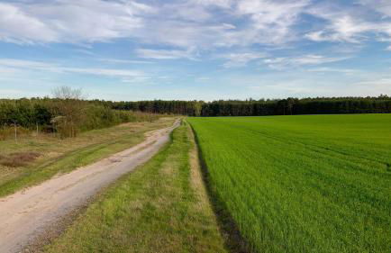 Naturnahe Gästewohnung im Heidelandhaus Henzendorf - Foto 24