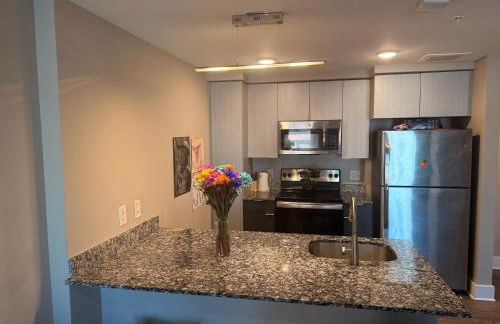 Lux High Rise one stop 2 bedroom private Share kitchen Professional Respected apartment - Foto 25