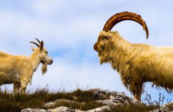 A View With A Room - Foto 41