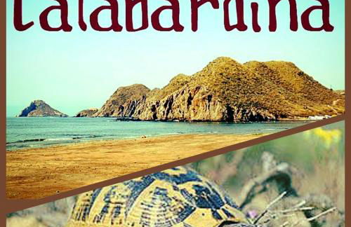 ATICO ESTUPENDO - Foto 23