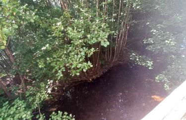 Gite de l'Ours - Foto 11