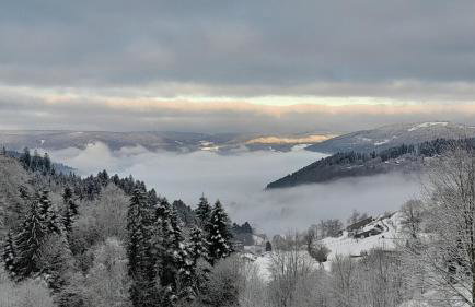 RELAX CHALET Nature Retreat - isolé sur 3 hectares - confort de LUXE - maison entière 150m2 - près de La Bresse - Foto 24