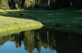 Baschijörgenhof - Foto 73