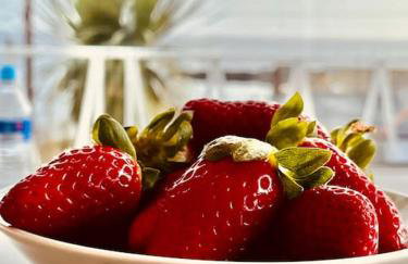 Spacious home with panoramic sea view, free parking EV & large garden - Photo 21