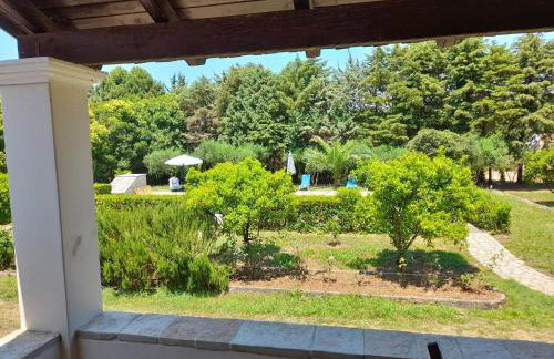 Lemontree Apartments - Foto 6