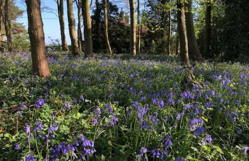 Bugley Cottage - Foto 35