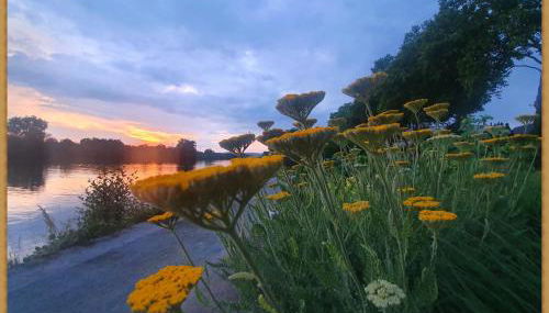 Kolev Apartments - Foto 3