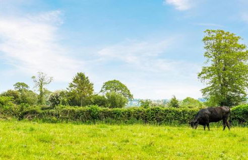 Gorgeous Home In Bricquebec-En-Cotentin - Foto 31