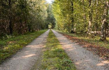 Brzozowy Zakątek - Foto 56