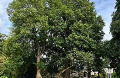 The Cottage, Walworth Demesne - Foto 36