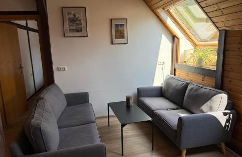 Ferienweingut Niessner - Foto 8