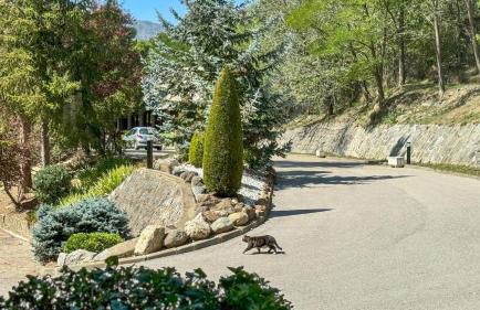 Loft ideal para parejas en Enveitg - Foto 25