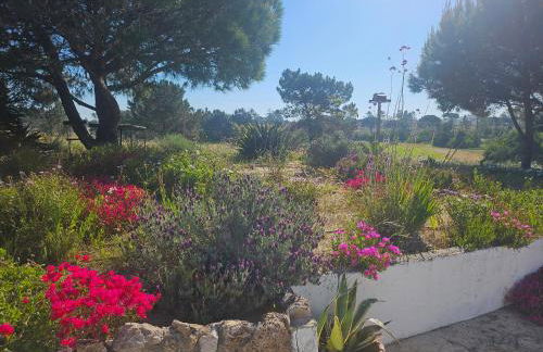 Casa Paloma - Foto 30