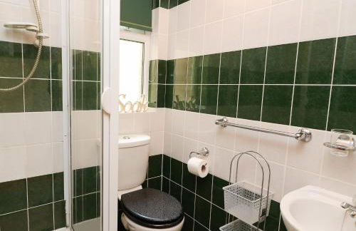 Blaenywawr Annexe - Foto 11