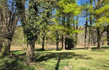 Domaine des Aulnaies - Beauval - Mareuil sur Cher - Foto 19