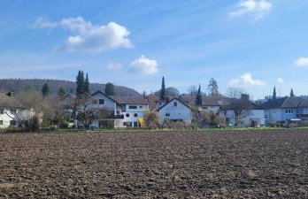 Seeschwalbe - Foto 23