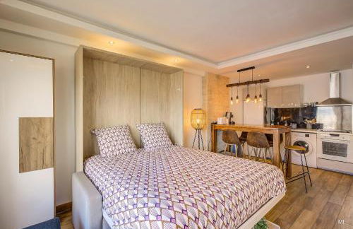 WIlson Palace - Studio avec terrasse et climatisation - Photo 9