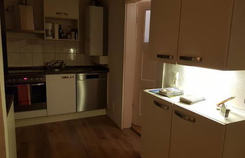 Apartment am Südpark Erfurt - inkl Garten mit Sitzlounge - zentrumsnah - Foto 25