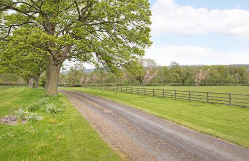 Reynard Ing Cottage - Photo 17