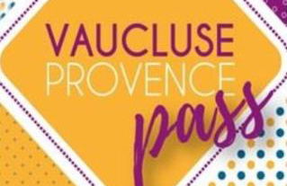 Beau studio Monteux, balcon vue Lac, près de Spirou Provence - Photo 46