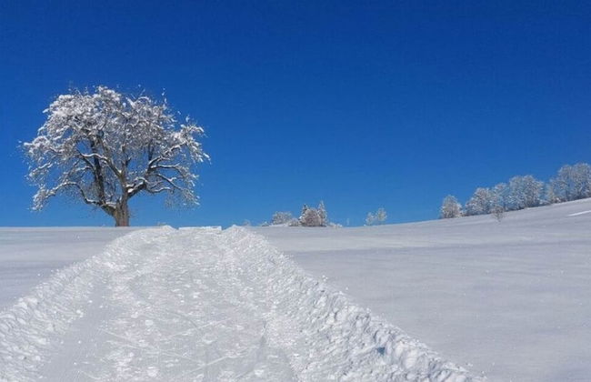 Kirsch Comfortable Holiday Residence - Photo 12