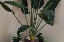 FILINA's luxury house - Foto 21