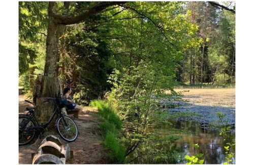 Haus am Kirchberg in Vita Garden - Foto 21