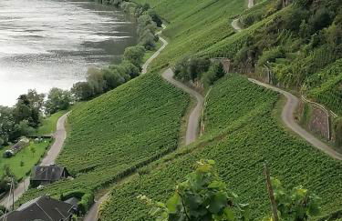 Haus der Weinkönigin Kristina - Foto 22