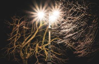 Alloggio turistico di Bandini Diego Hunter's House - Foto 32